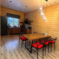 Фото Отель Хибины-Викинг