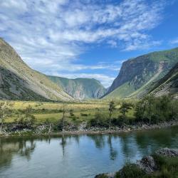Фото Отель Алтай Эко Кедр