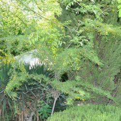 Фото Отель Мыс