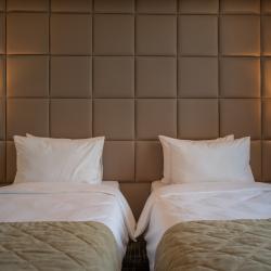 Фото Отель Hayasa Hotel Yerevan (Хаяса )