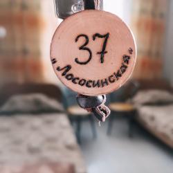 Фото Отель Лососинская