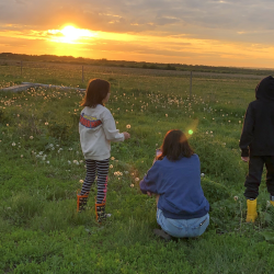 Фото Отель Прибой