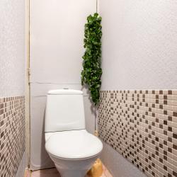 Фото Апартаменты на улице Профсоюзная 136 корпус 3