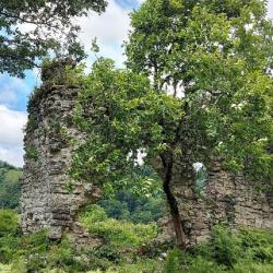 Фото Отель База отдыха Страна души