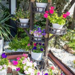 Фото Отель Метелица