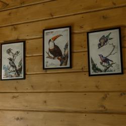 2-комнатный коттедж в лесу №3