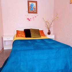 Фото Апартаменты на улице Володарского 50