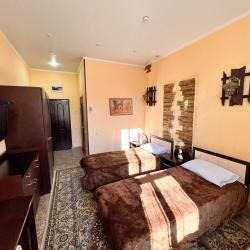 Фото Отель Викинг