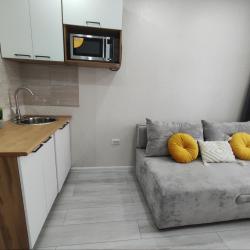 1-комнатные апартаменты студия