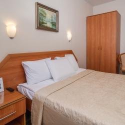 2-местный номер стандарт с 1 двуспальной кроватью