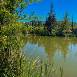 Фото Парк-отель Озеро Дивное