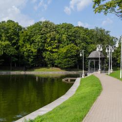 2-комнатные апартаменты стандарт (мансарда)