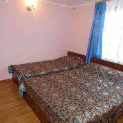 Фото Отель Новый замок