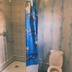 Фото Отель Altay Sun (Алтай Сан)