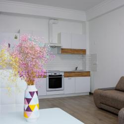 Фото Апартаменты на улице Платановая