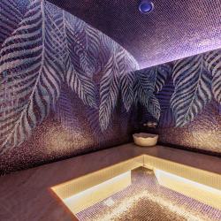 Фото Отель Minger Med Spa (Мингер Мед Спа)