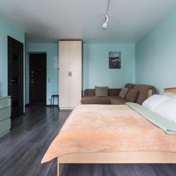 Фото Апартаменты на улице Кошурникова 13