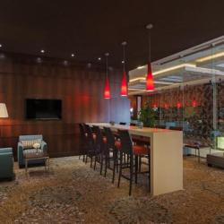 Фото Отель Hilton Garden Inn Astana (Хилтон Гарден Инн Астана)