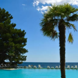 Фото Парк-отель Московский