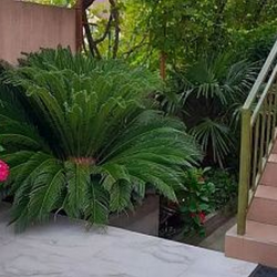 Фото Отель Черноморская жемчужина