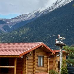 4-местный 2-комнатный коттедж улучшенный