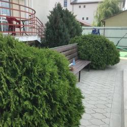 Фото Отель Альпийский двор
