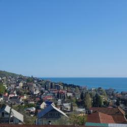 Фото Отель Sova (Сова)
