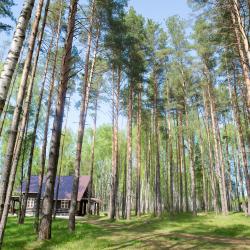 Фото Отель Экоусадьба Архангельская