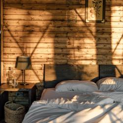 Фото Отель Вили Улей Волга