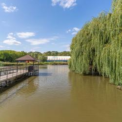 Фото Отель Усадьба Фамилия