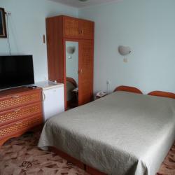 2-местный номер стандарт с 1 двуспальной кроватью