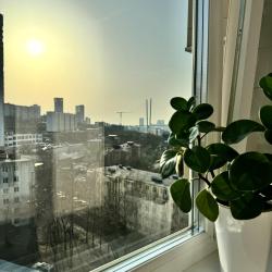 Апартаменты студия