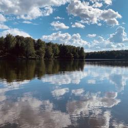 Фото Отель Медовое Форест