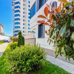 Фото Отель Bulgasari (Булгасари) на улице Ленина 298Б корпус 7