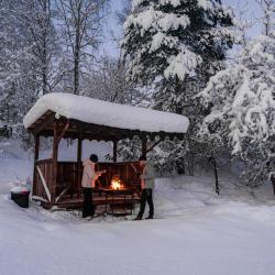 Фото Отель Уютные ёлы