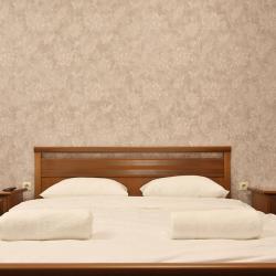 Фото Отель Аустерия