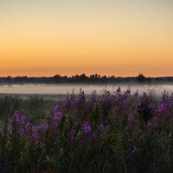 Фото Отель Дом Дракона в Яви-Нави