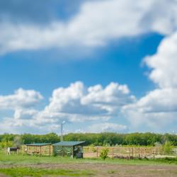 Фото Отель Дубровский парк-клуб
