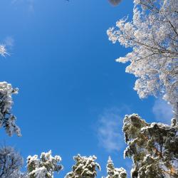 Фото Отель RentalSPb на озере