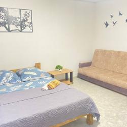 1-комнатные апартаменты стандарт