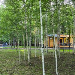 Фото Отель Загорские Дубки