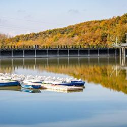 Фото Отель Villa Scandi (Вилла Сканди)