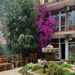 Фото Отель Гостевой дом Династия