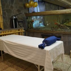 Фото Парк-Отель Березка