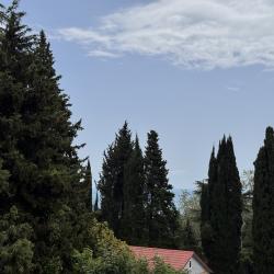 Фото Апартаменты Бристоль-2