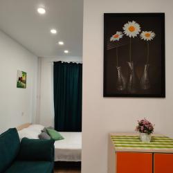 1-комнатные апартаменты студия