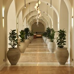 Фото Отель Ashamta Hotel&SPA Afon (Ашамта Афон)
