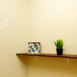 2-комнатные апартаменты стандарт 2-к. кв. ул. Петровско-Заводская 31 №13