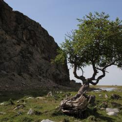 Фото Отель Байкал-кэмп