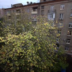 1-комнатные апартаменты улучшенные